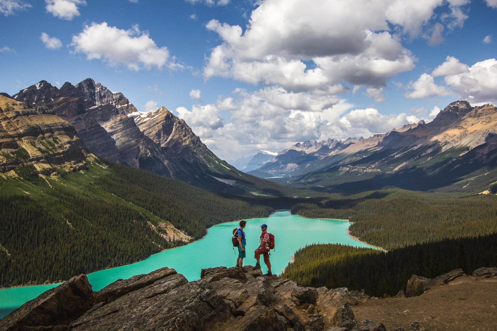 Peyto Lake in Banff National Park, Alberta, Canada