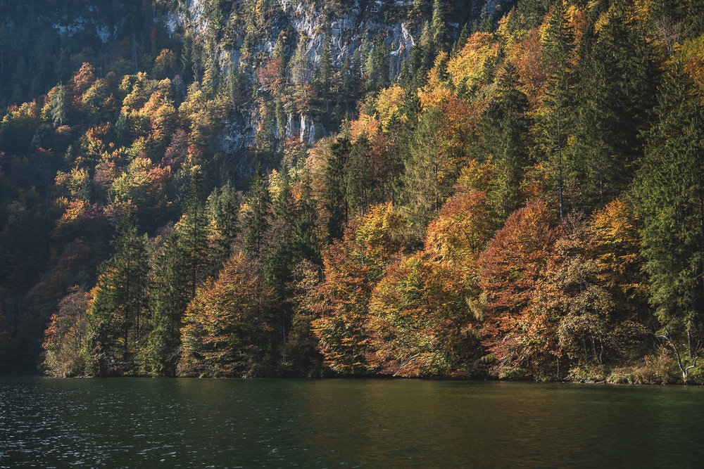 Fall colors around Lake Königssee