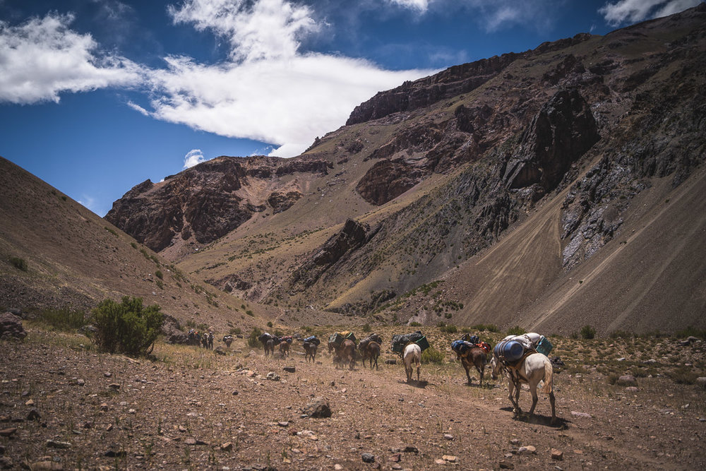 The mules pass us with the heavy load of our luggage