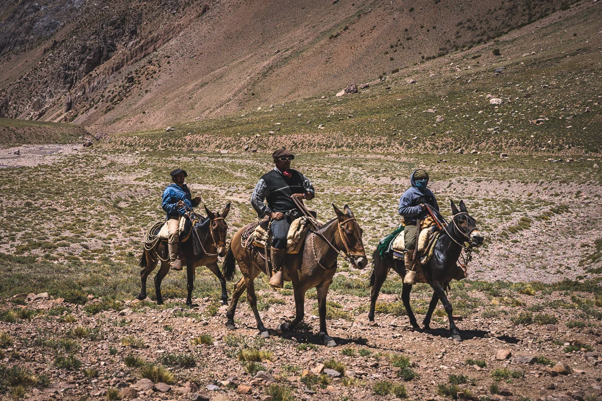 The arrieros riding past