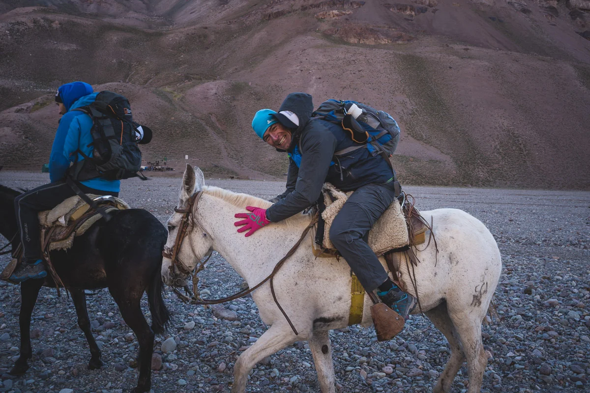White horse, pink gloves, ready to go!