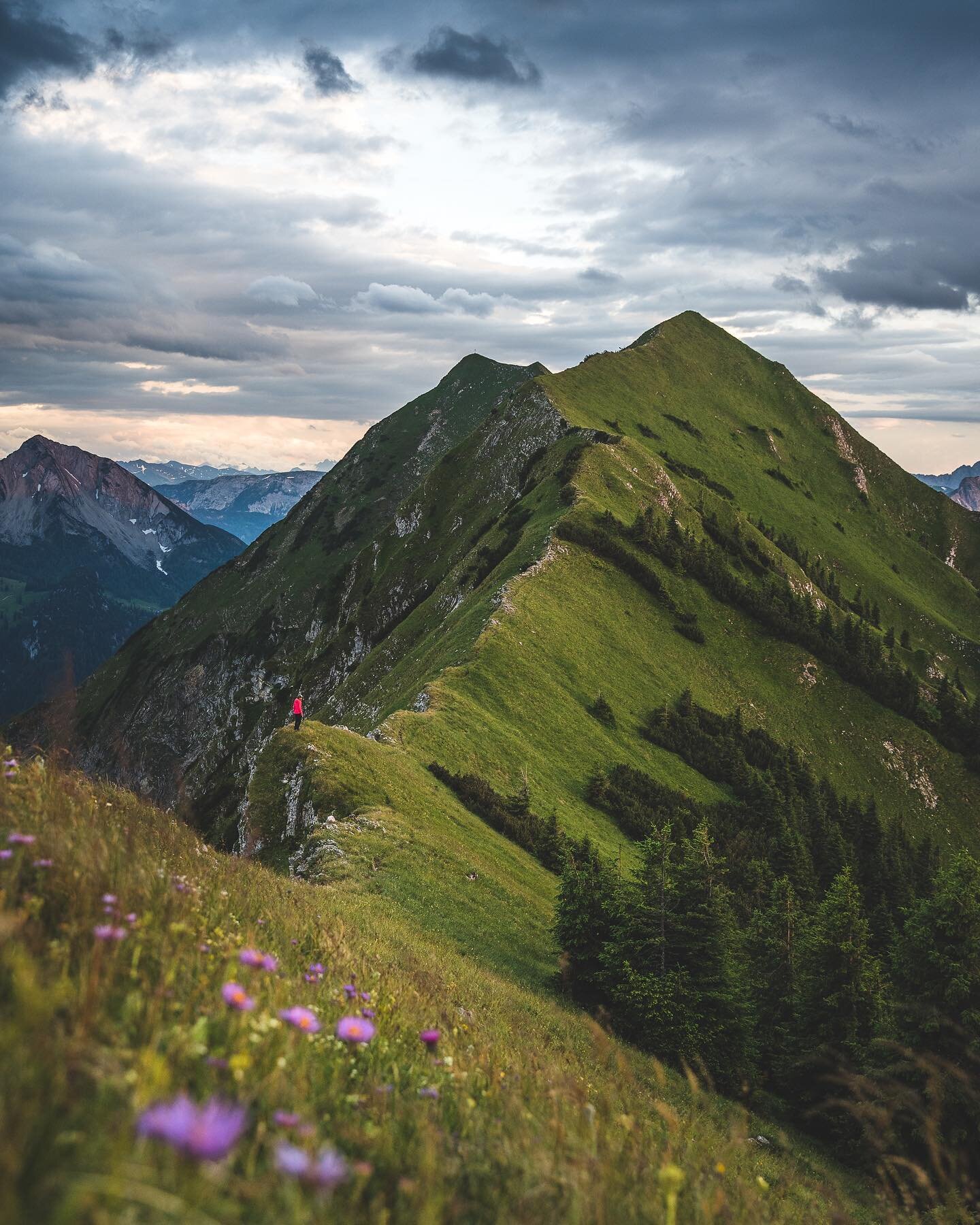 ‼️Community Event for you 🥳🙌 To start into the summer with you, on the 7th of June @hannahoermann and I are offering a sunset tour with a workshop ☺️ We&rsquo;ll go to one of my favorite hidden gems, a remote hike with beautiful scenery and we&rsqu