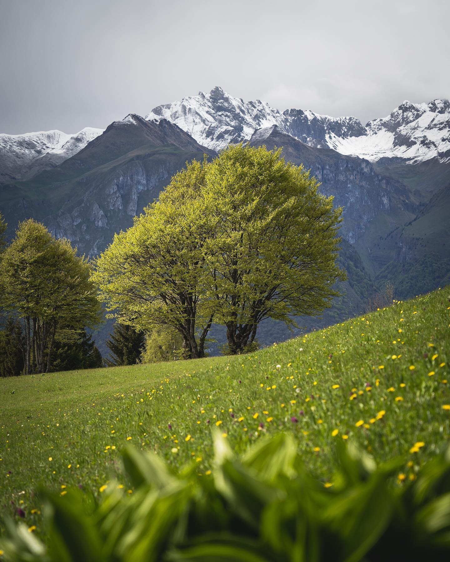 Glowing green tones everywhere in @gardatrentino right now. Summer is coming! Gathered herbs, cooked a delicious 3-course meal and went on a hike - all in the green lung of Garda Trentino: In Valle di Ledro and Valle di Concei. #gardatrentino @visitt