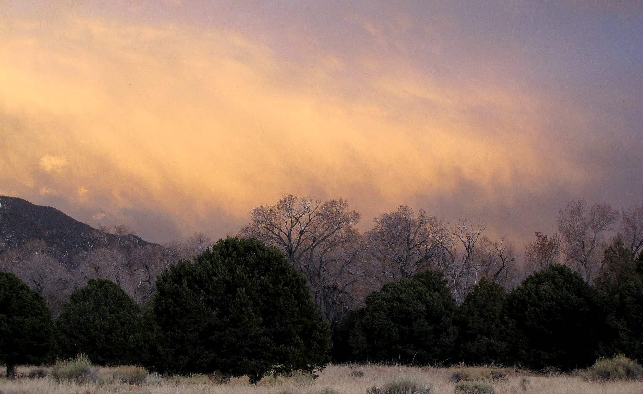 cloudstrees.jpg