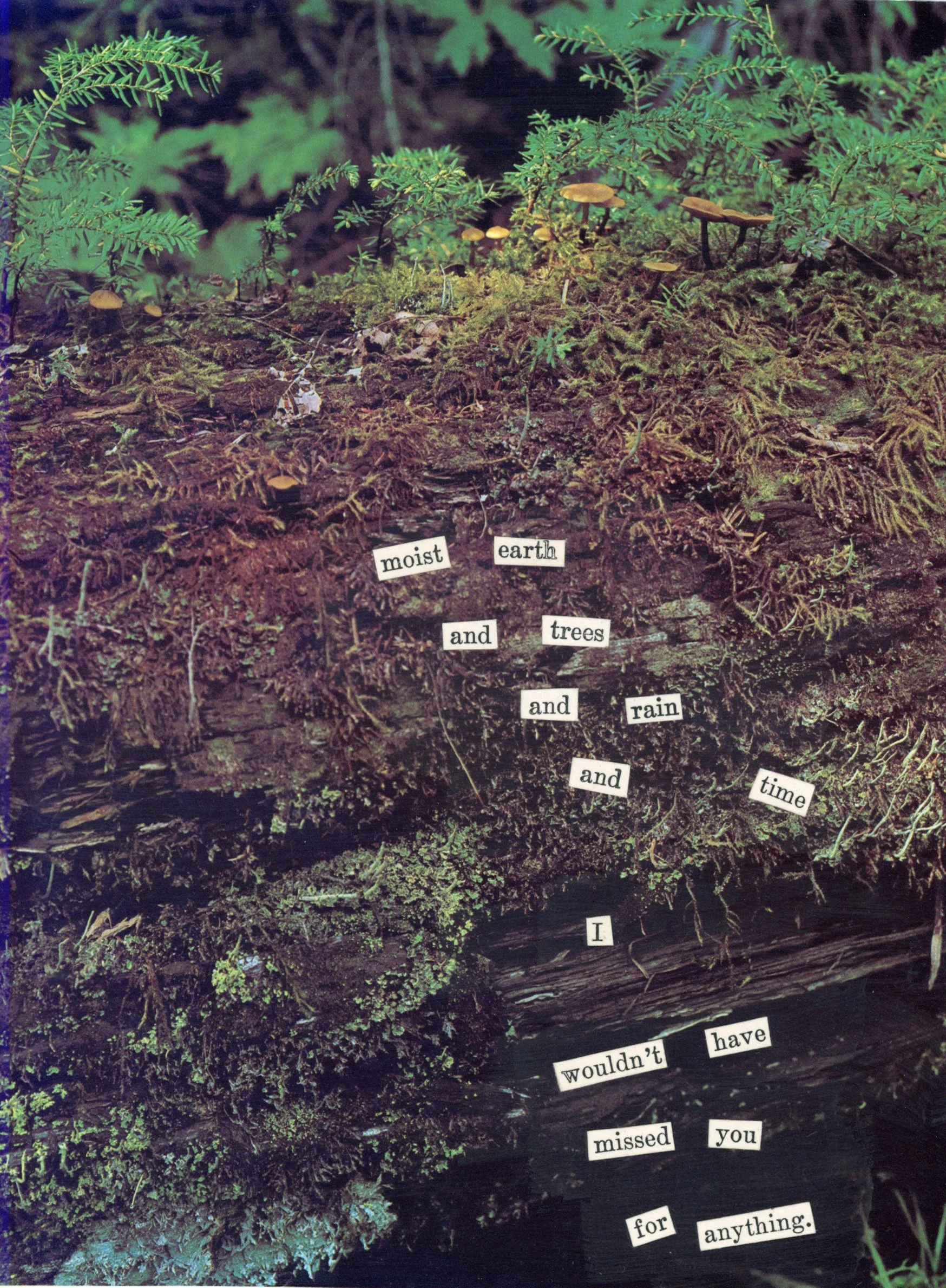 Cascades Collage Series - Moist Earth.jpg
