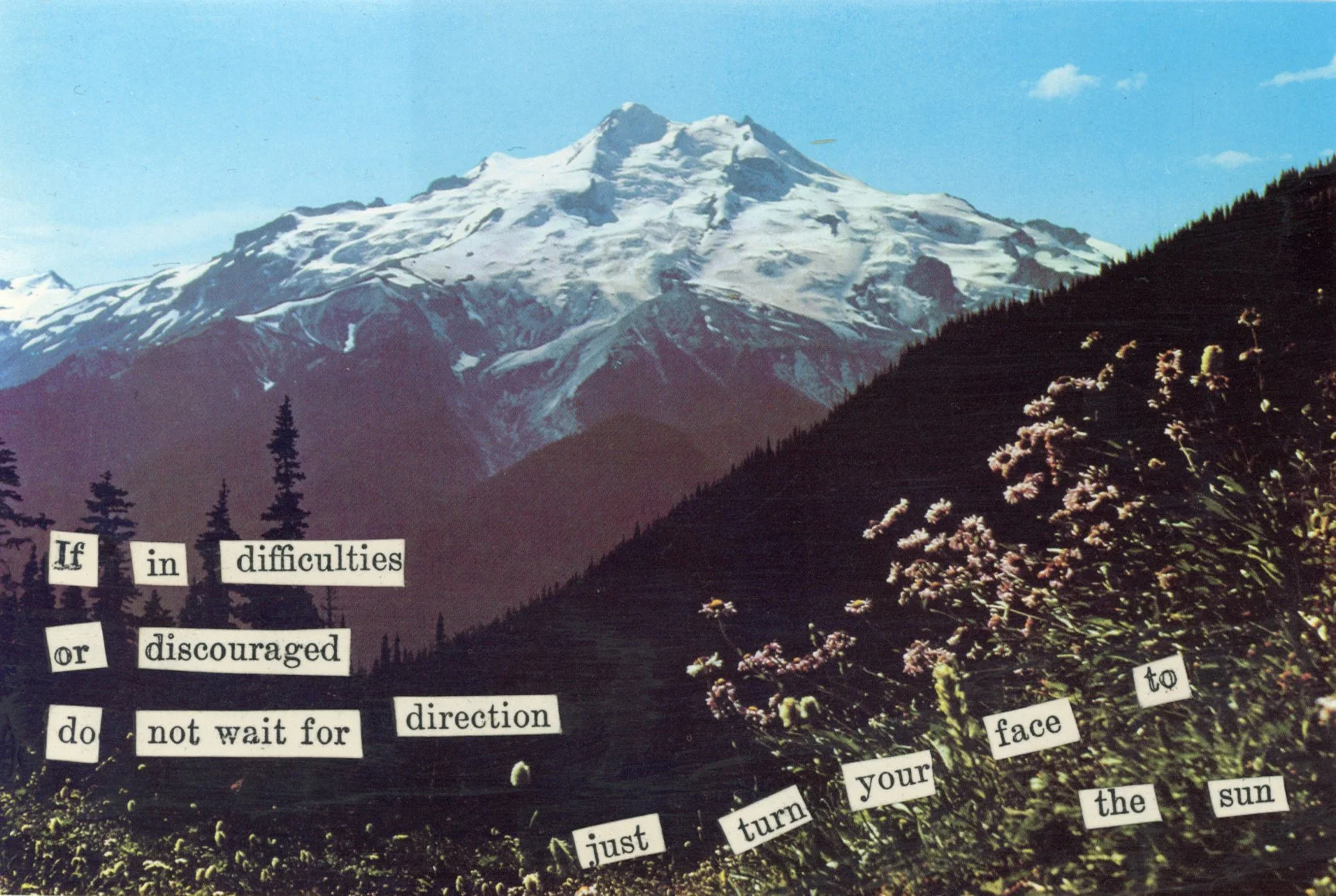 Cascades Collage Series - Face the Sun.jpg