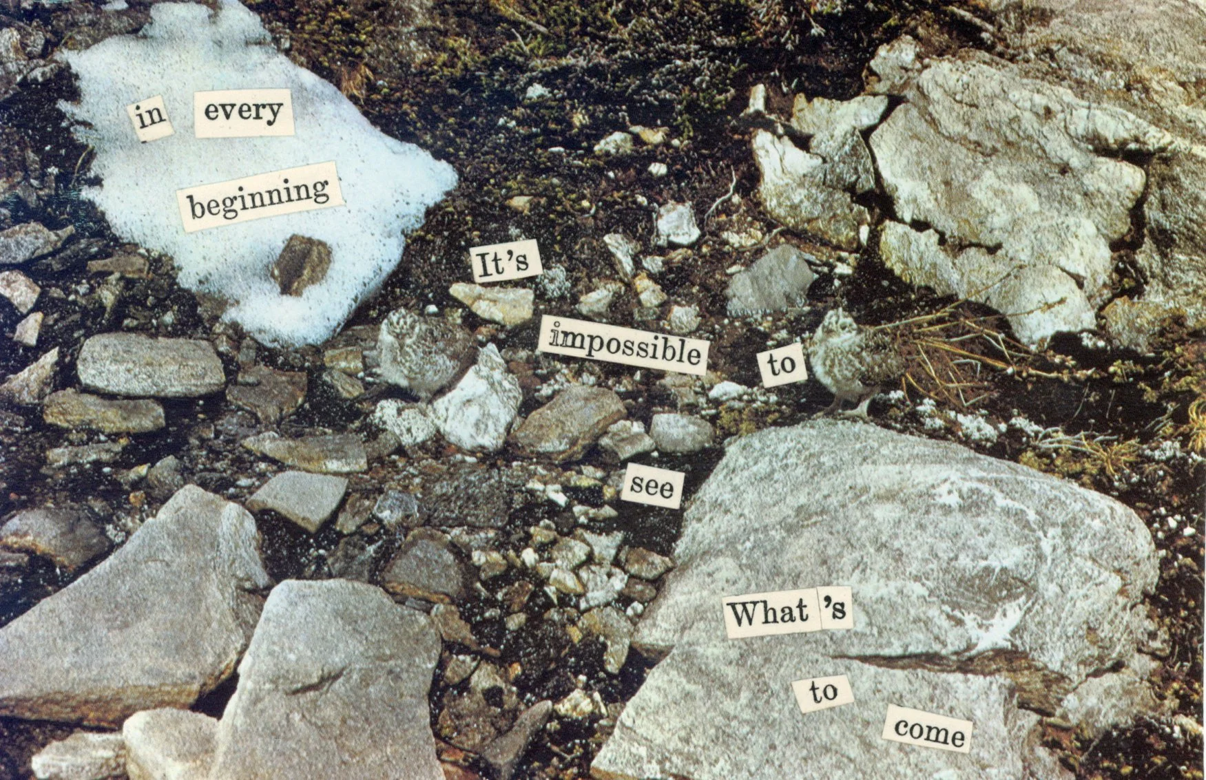 Cascades Collage Series - Beginnings.jpg