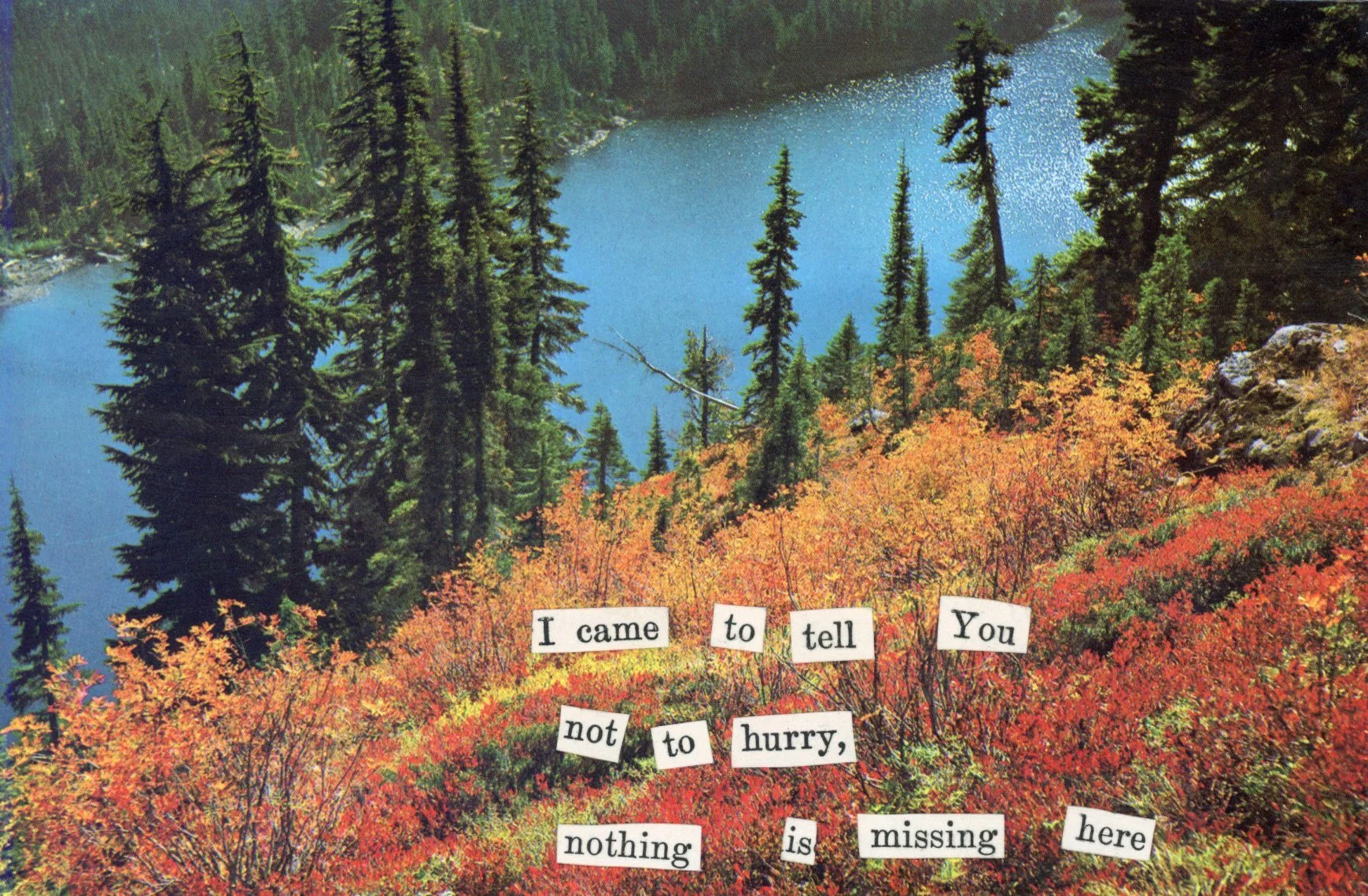 Cascades Collage Series - Nothing Is Missing Here.jpg