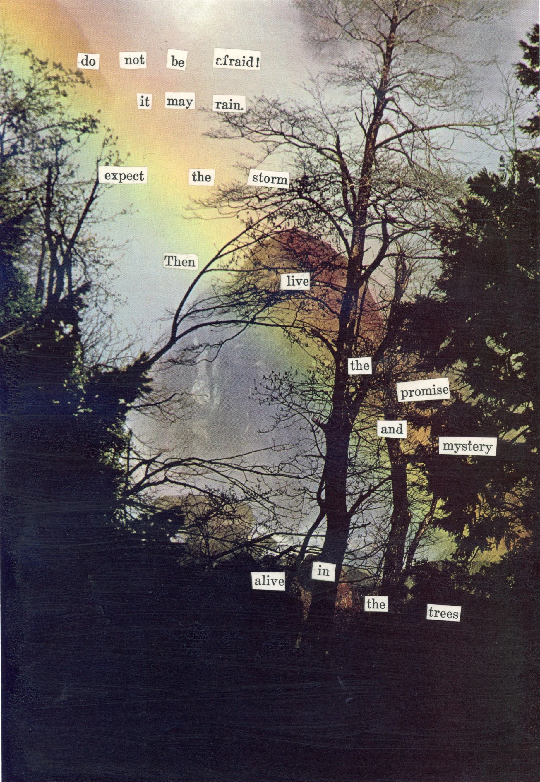 Alive in the Trees.jpg