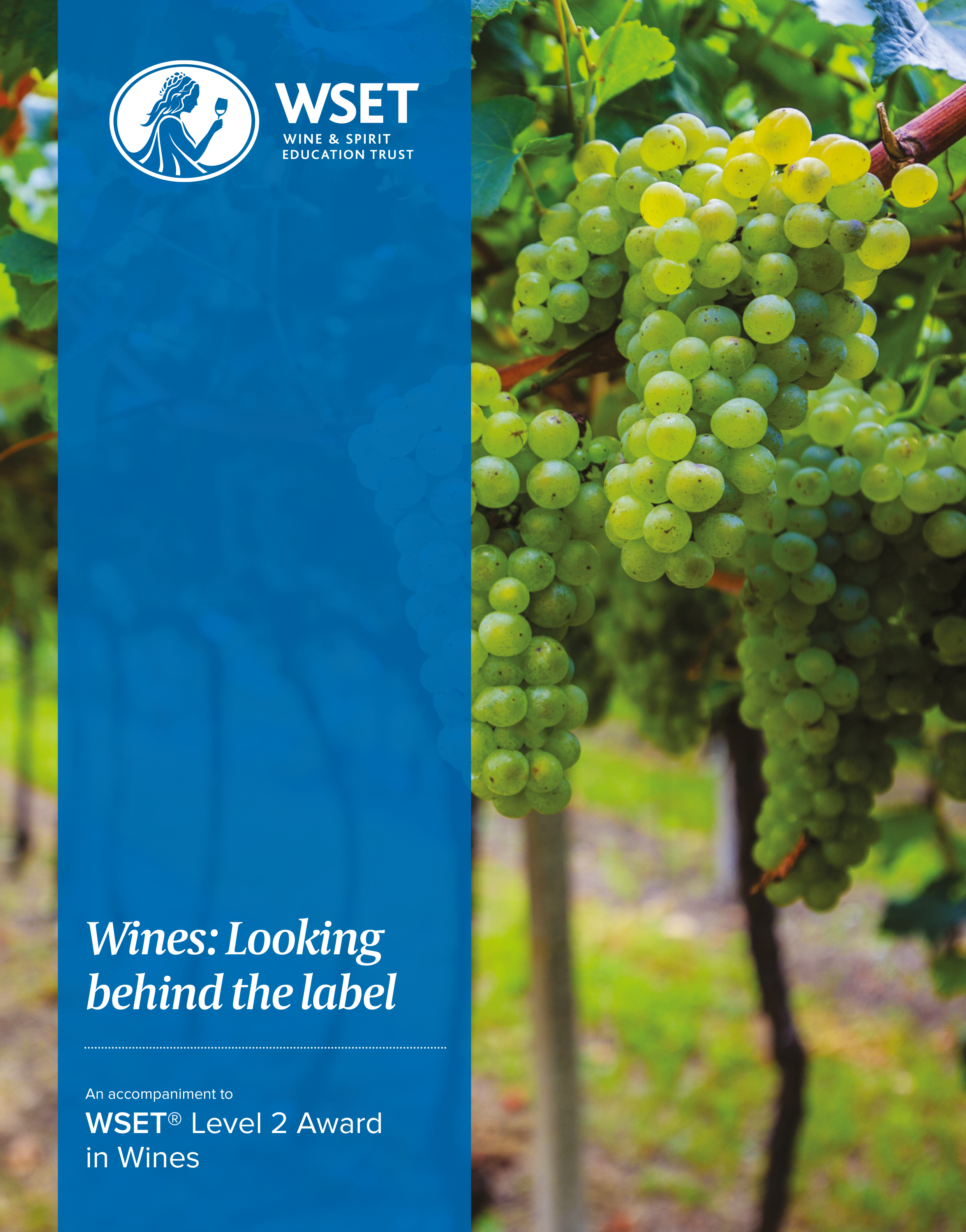 WSET Level 2 Award in Wines Classroom — Spirited Grape