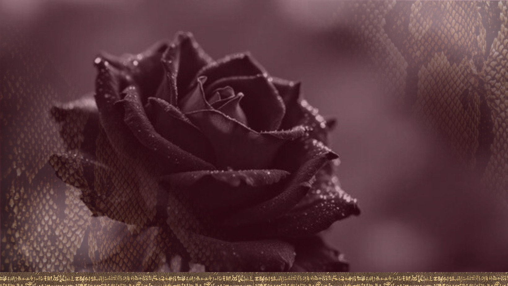 Copy of Womb Bliss Banners (18).png