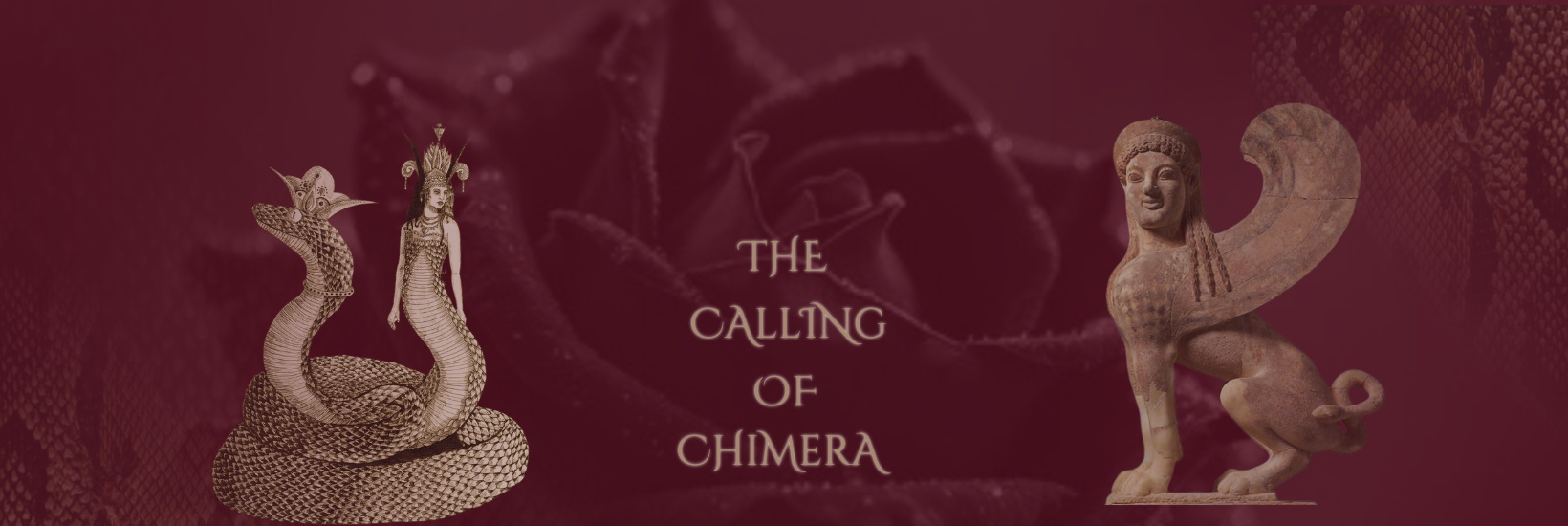 Copy of 3rd Copy (edit) Womb Bliss Banners (website) (15).png