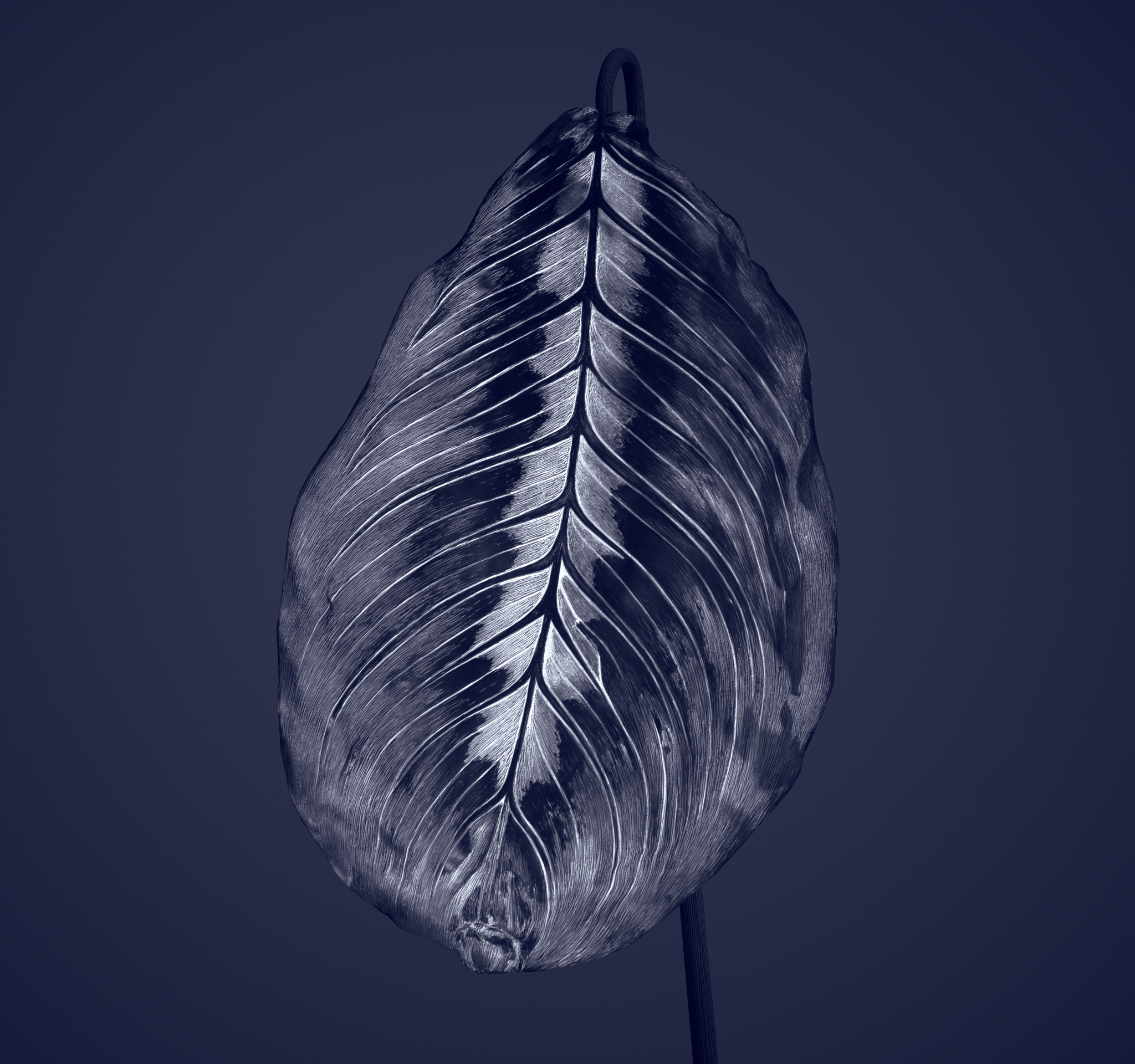 LEAF03_0038_00000.png