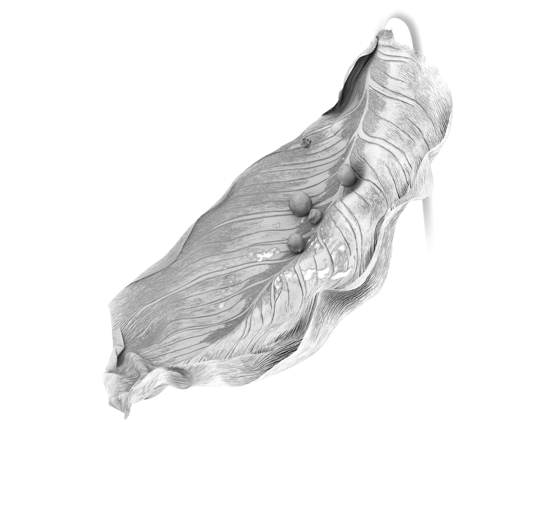 RENDERS 3_occlu_00105.png