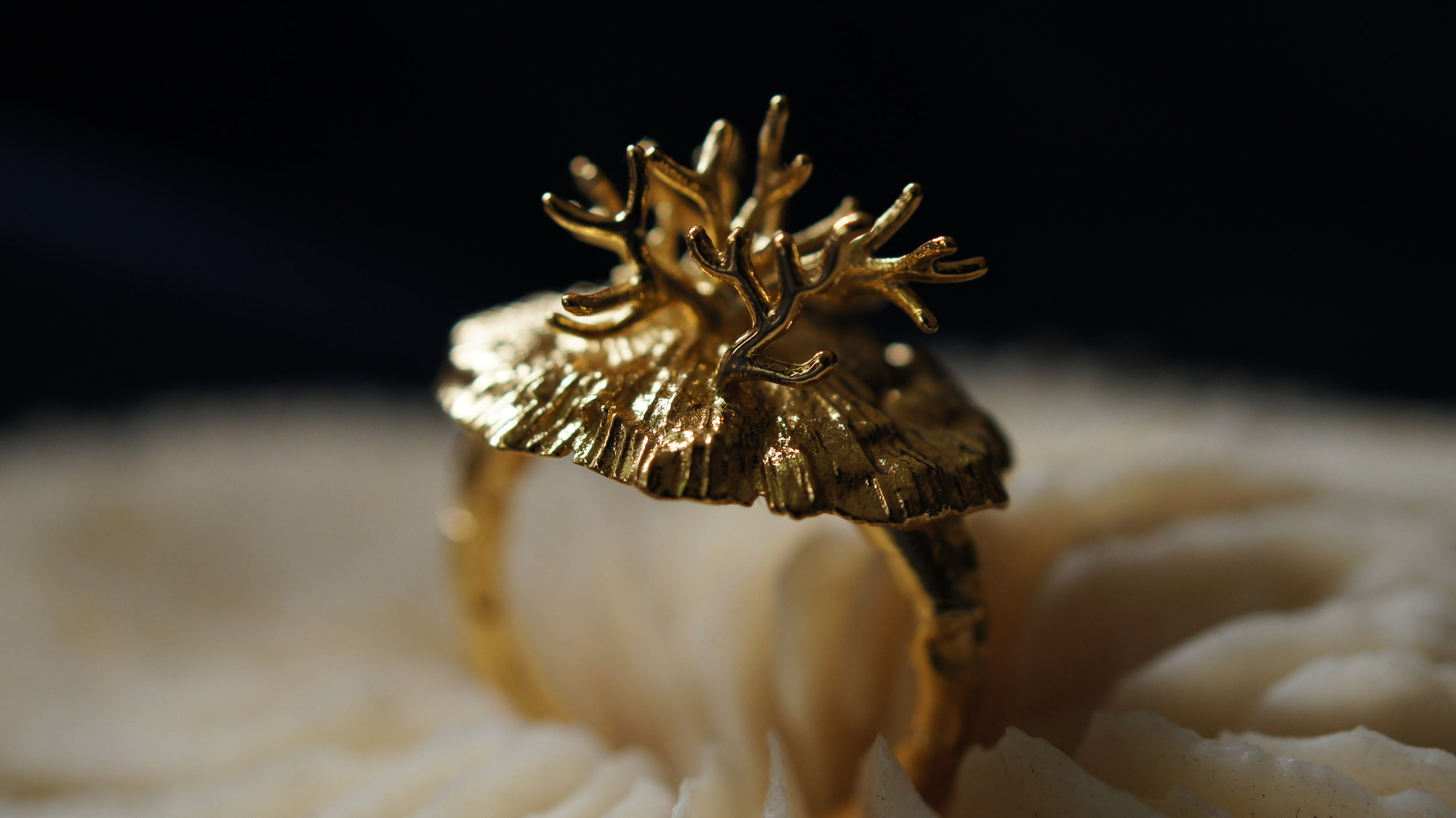 CORAL RING