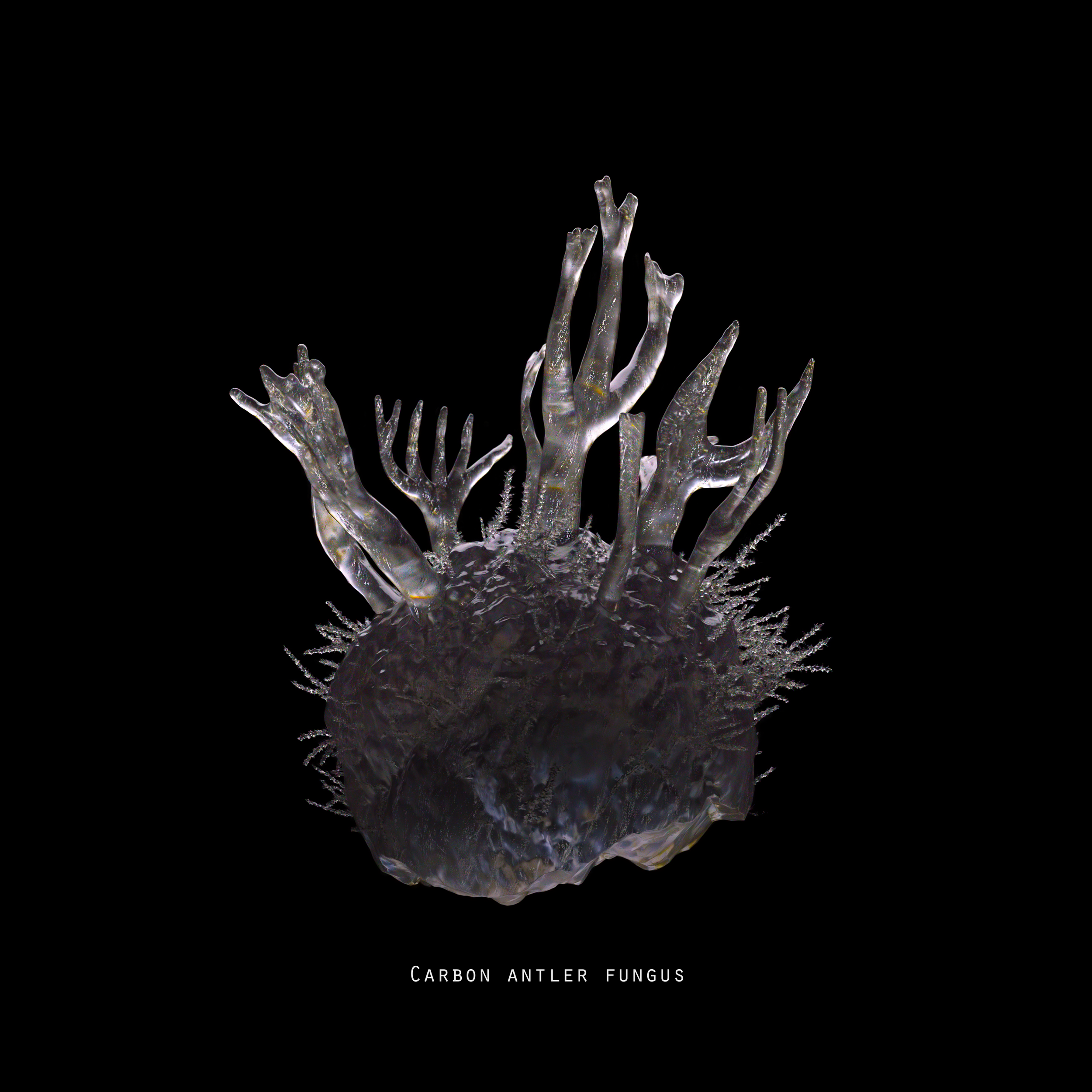 Carbon antler fungus.png