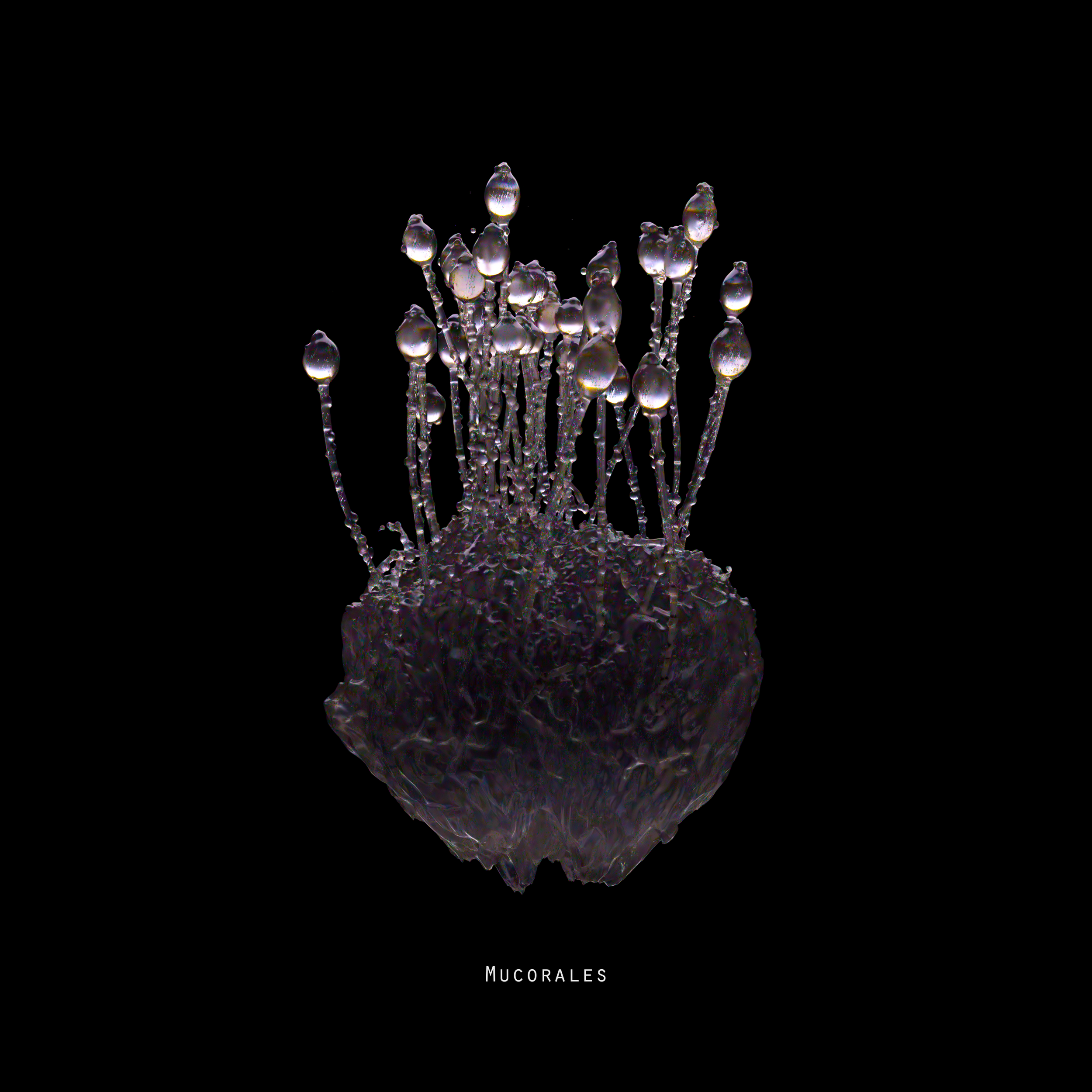 Mucorales_comped.png