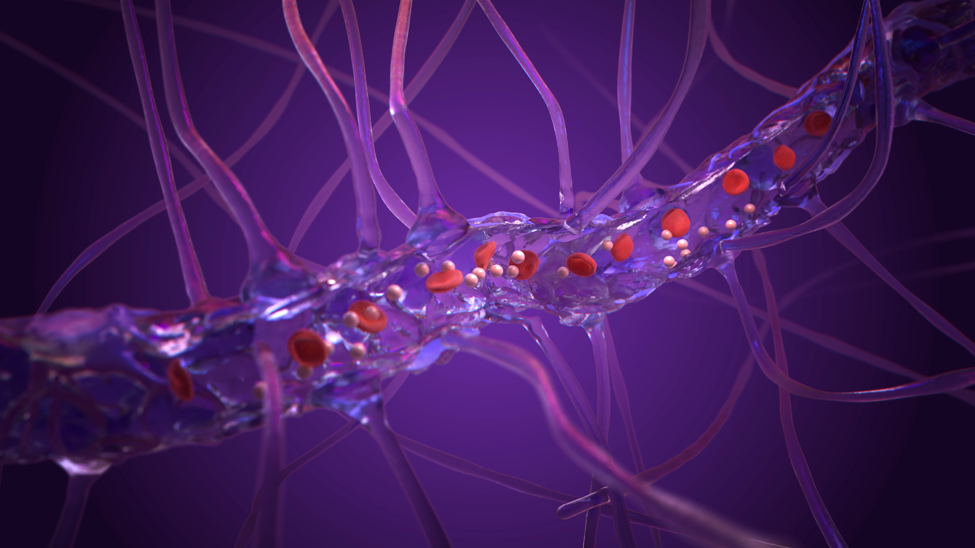 Blood_brain_barrier_telfast_molecule_SH01_v04 (00050).png