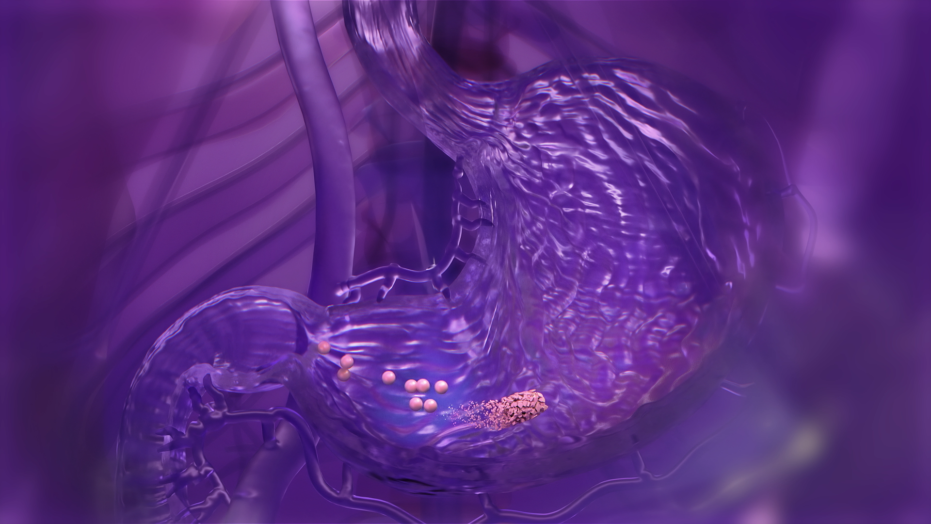 Telfast_VO_Reference_v5 (00350).png