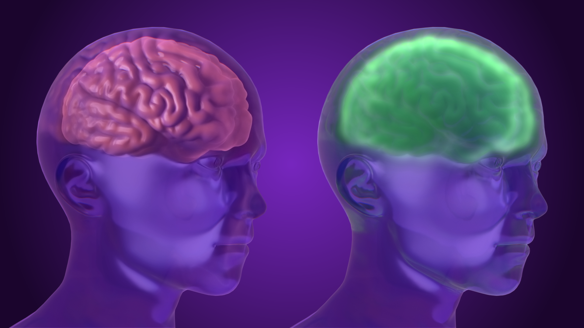 Telfast_VO_Reference_v5 (00897).png