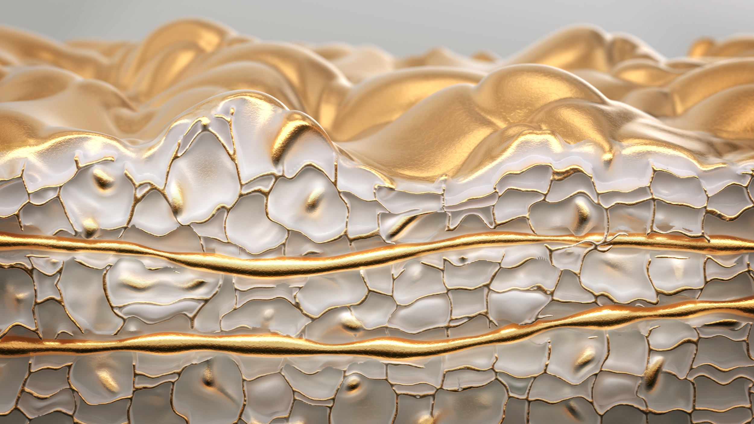 Psoriasis_v02 (0-00-00-00).png