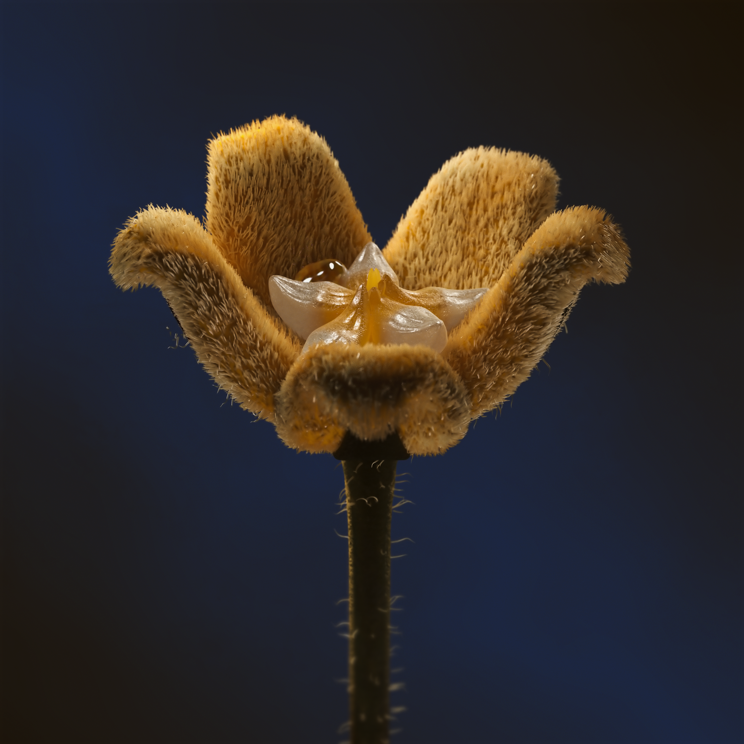 Emotion_v04_still 2_00001_size.png