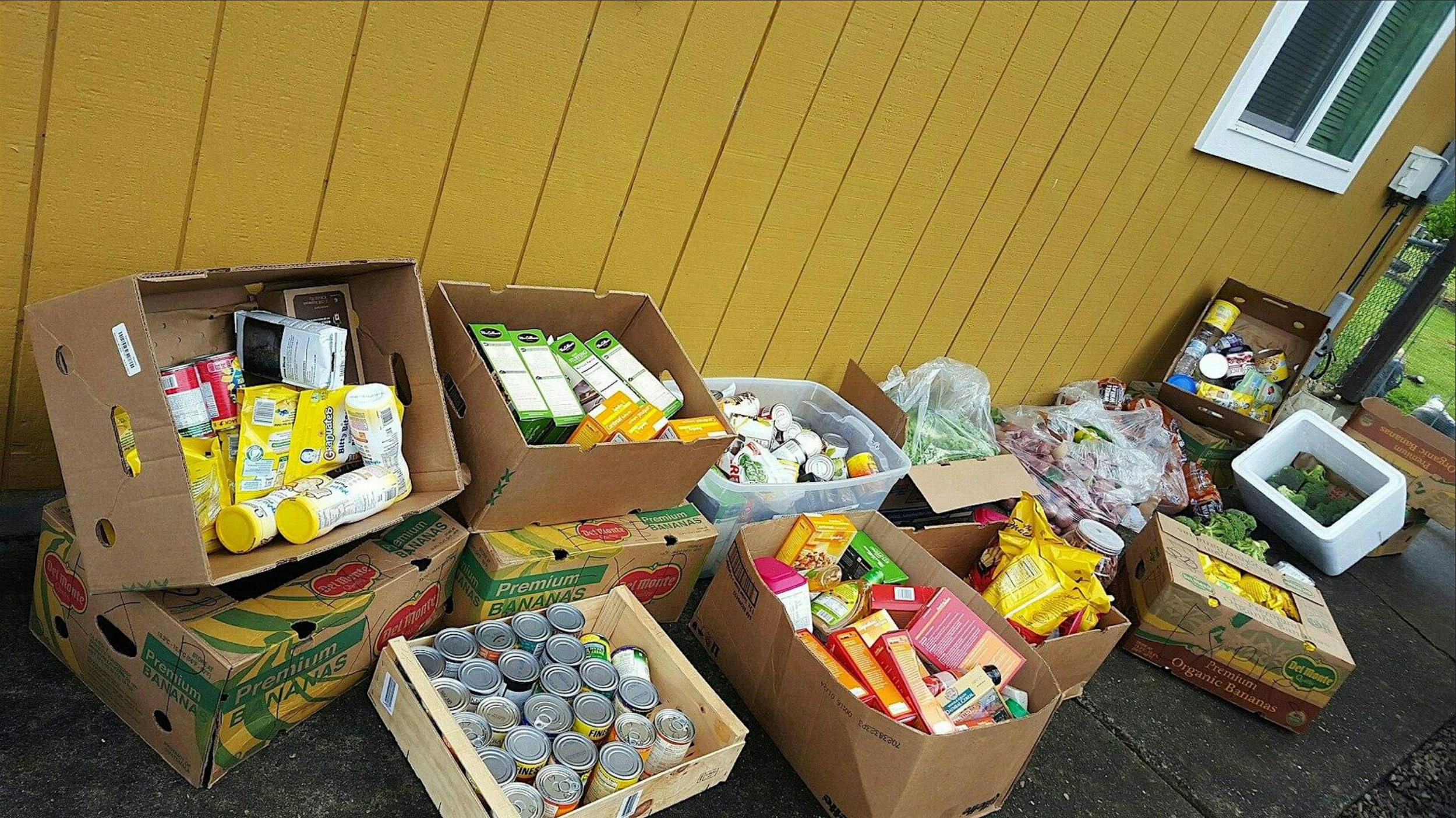 Activism in Action: Food Distribution 101