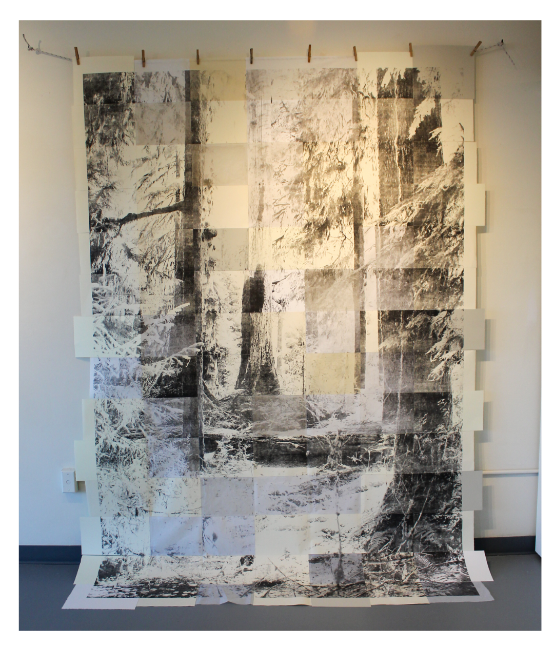 Artwork by Megan Nolde