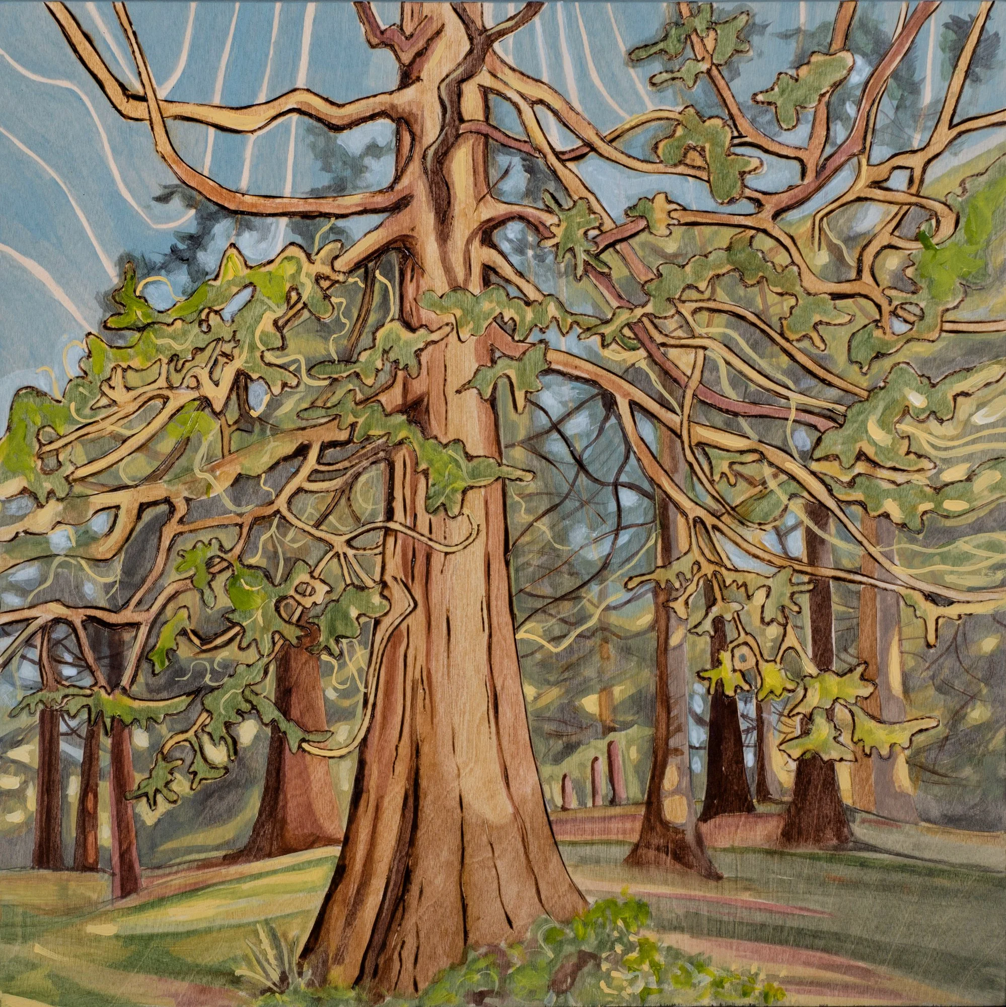Laurelhurst Park - Seed Scapes 3