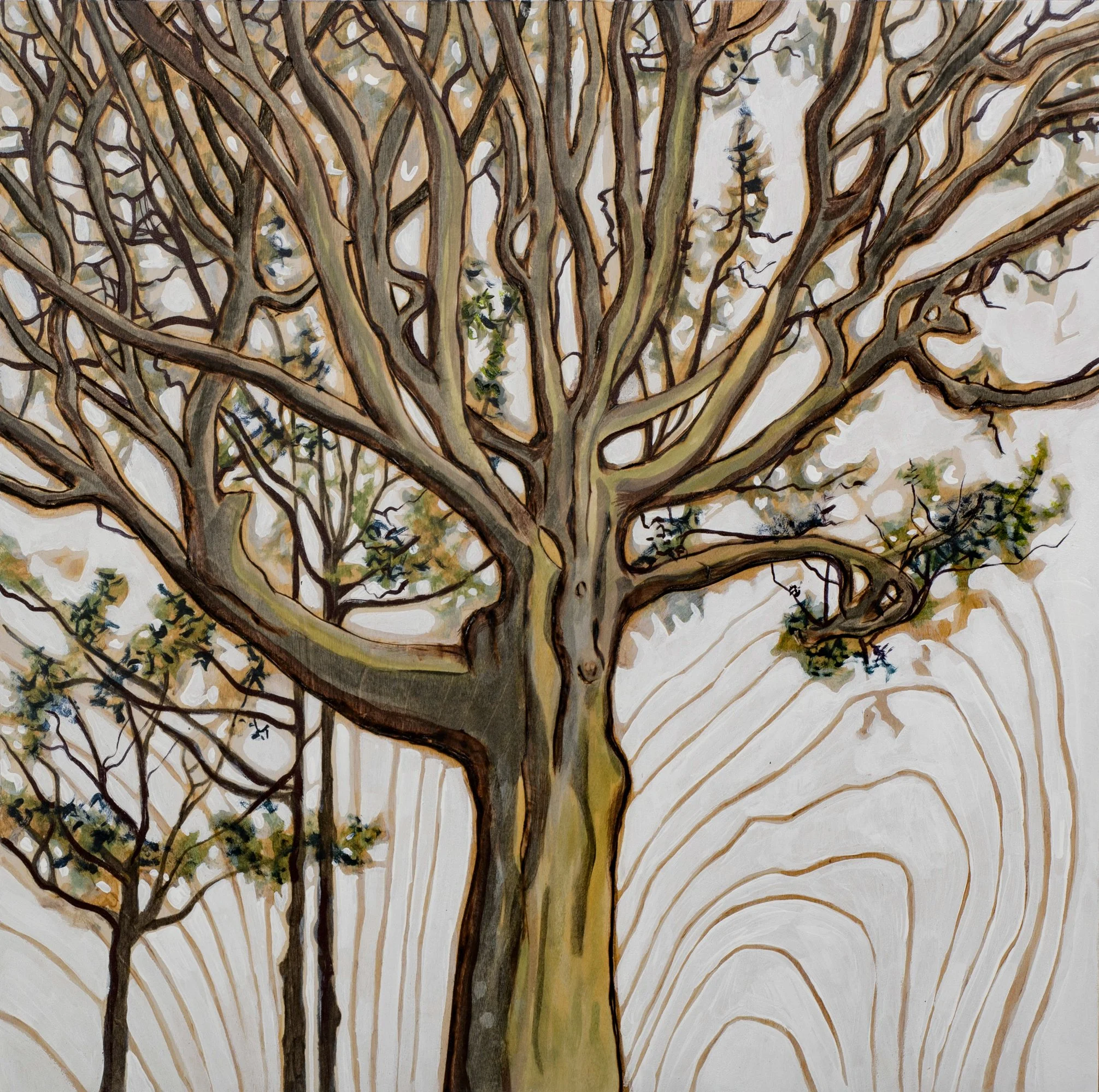 Cannon Beach - Seed Scapes 4