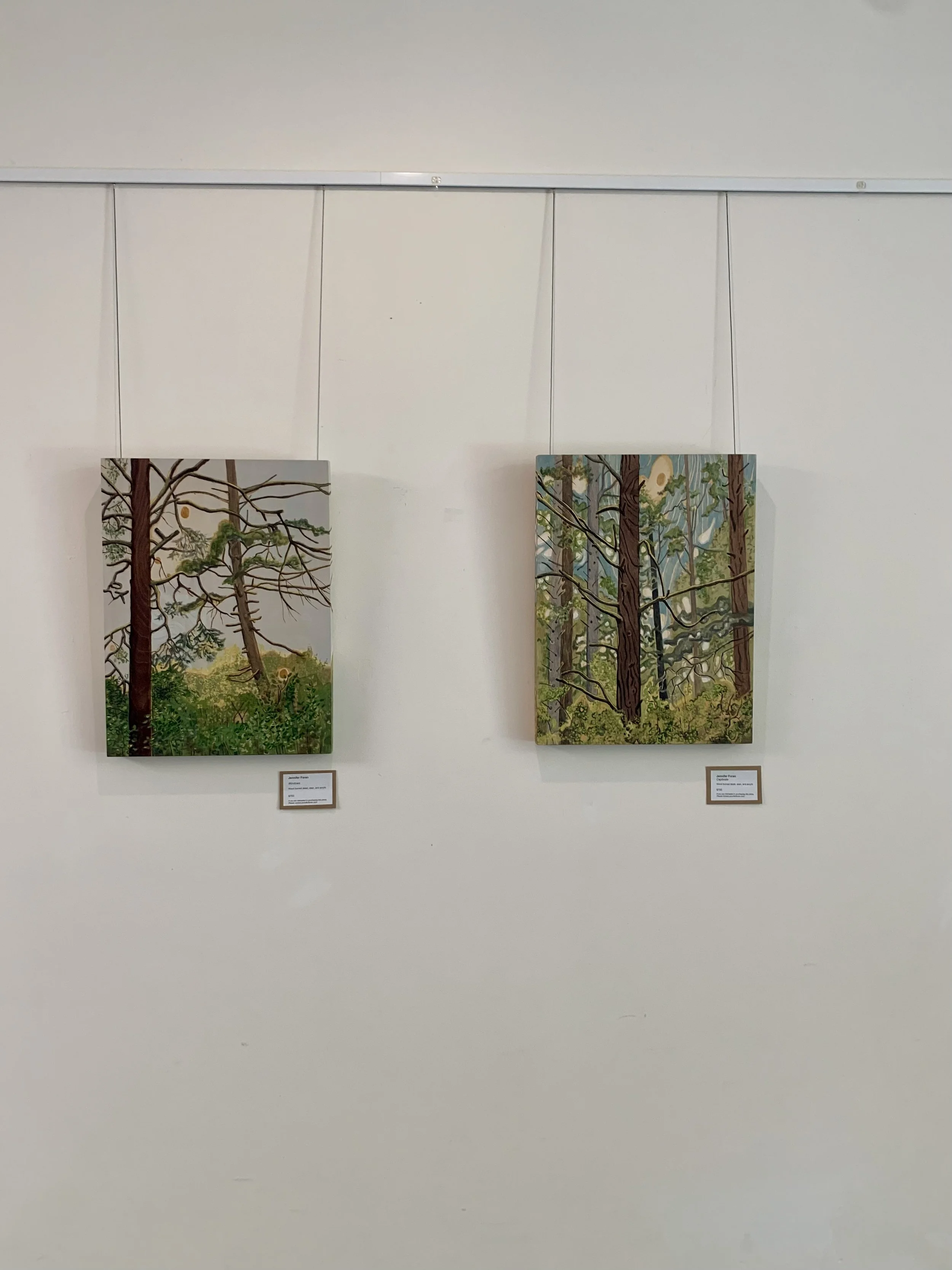 Gallery3.jpg