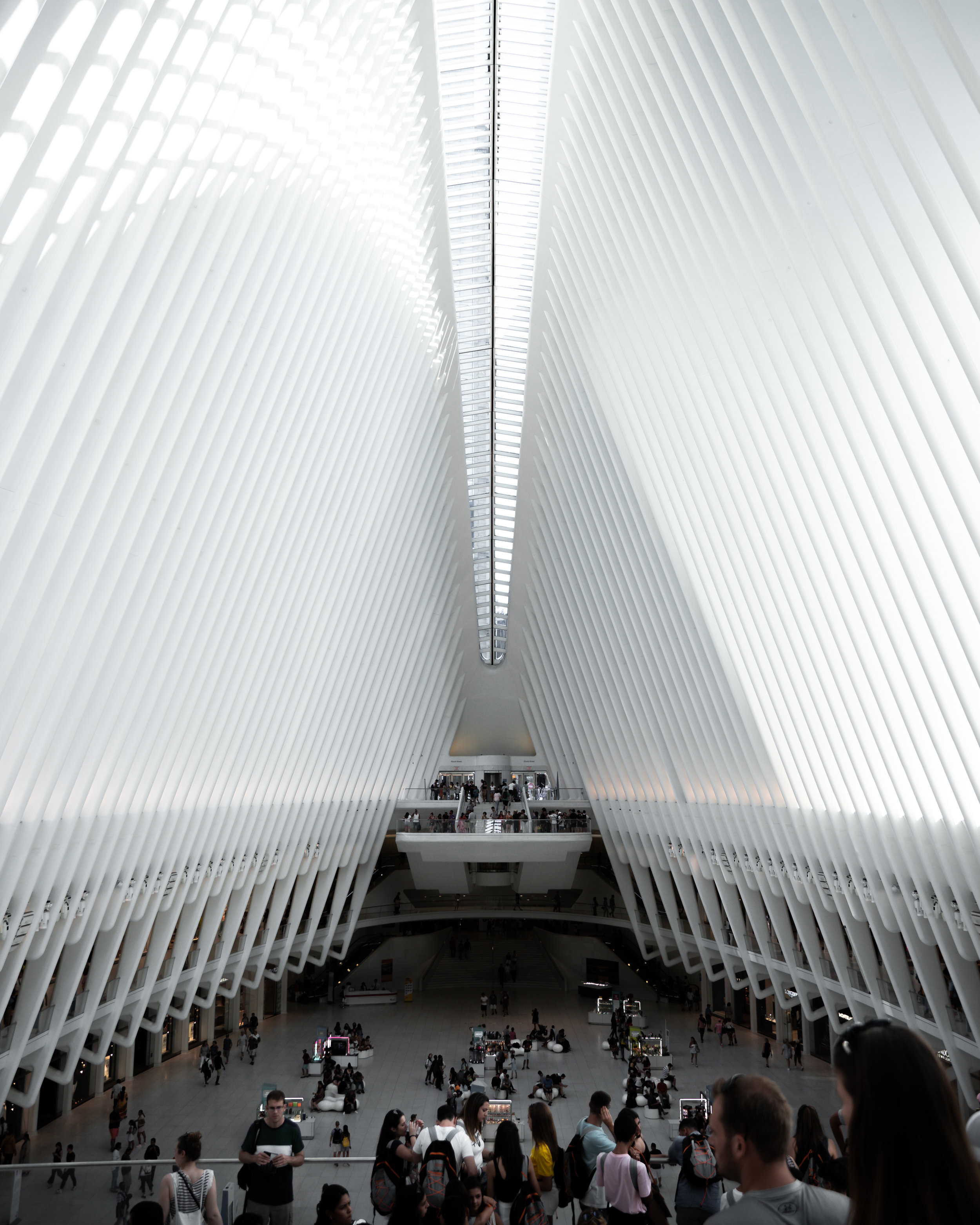 nyc oculus.jpg