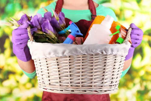 Spring Cleaning and Social Media