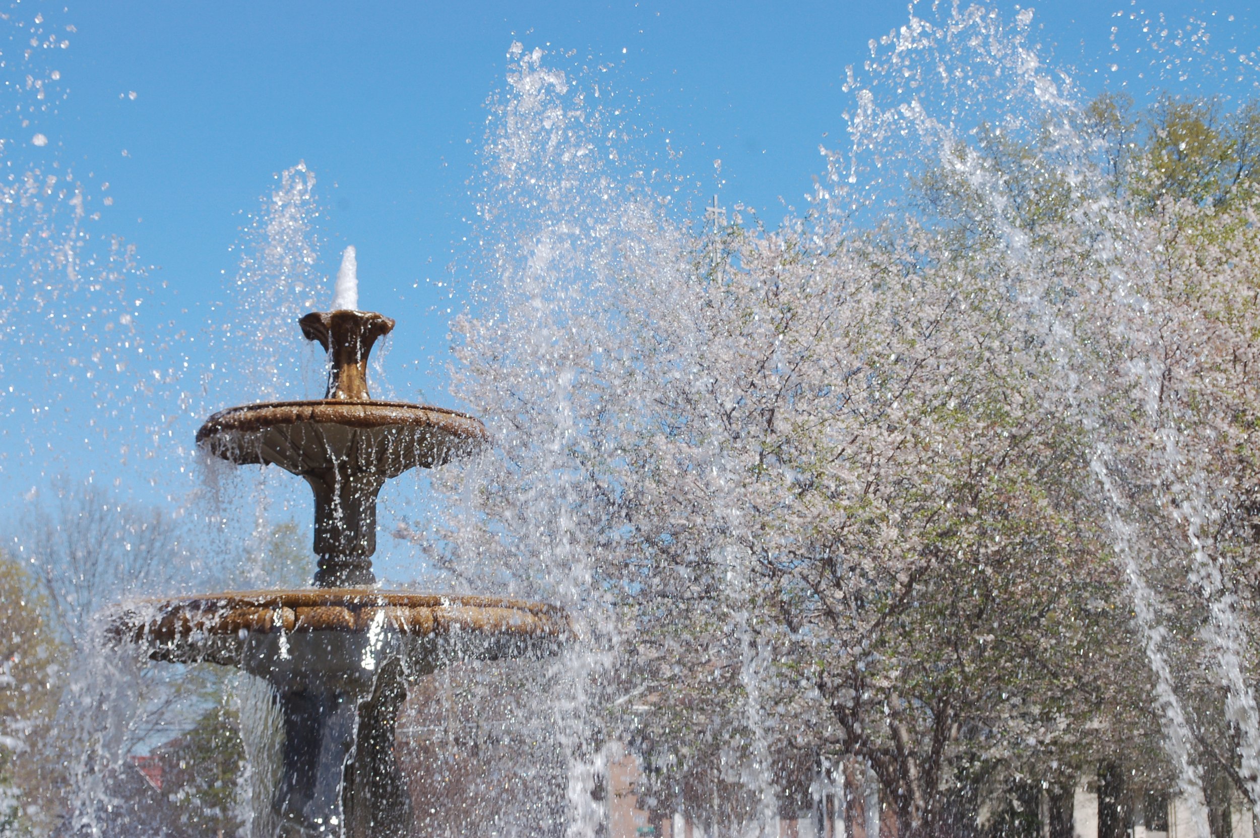 Wilson Park Fountain Florence Alabama