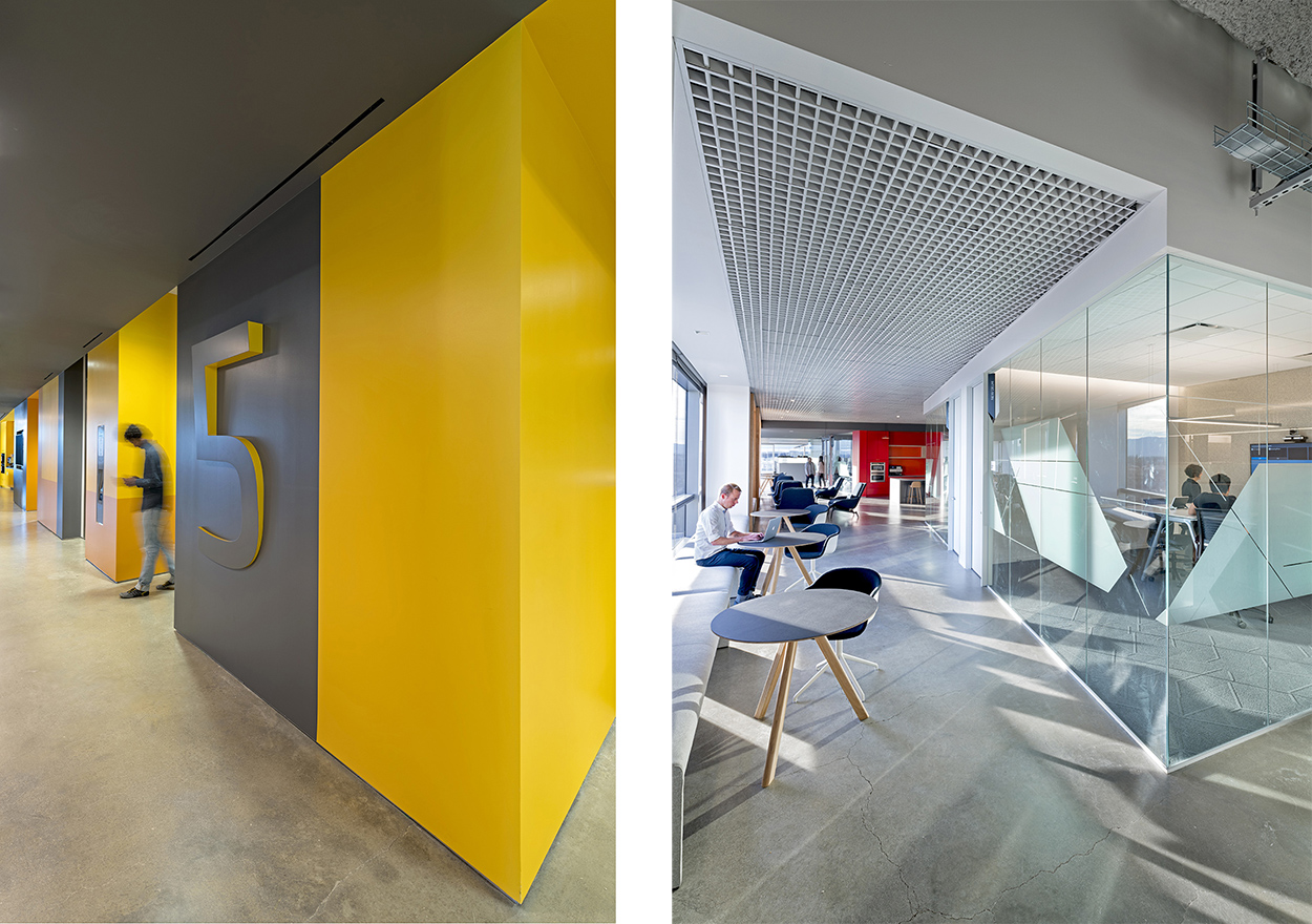 Bold Form + Graphics