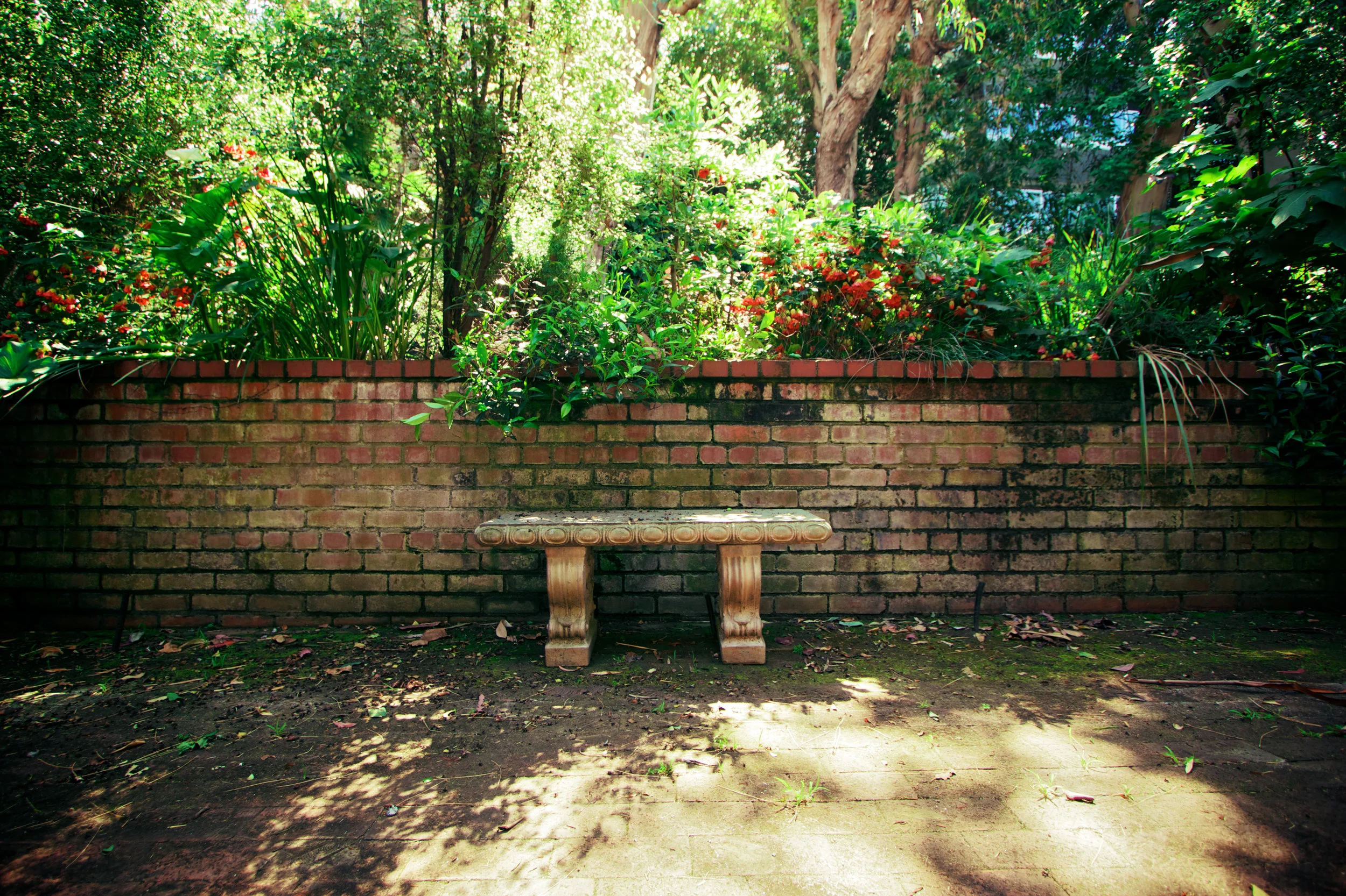 brick wall.jpg