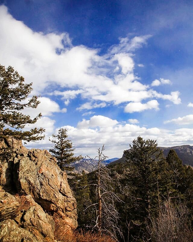 Missing rocky mountain tops today ❤️
.
.
.
#nationalpark #usanationalparks #nps #nationalparks #nationalparkusa #nationalparklife #nationalparkphotography #nationalparkgeek #findyourpark #naturalpark&nbsp;#alltrails #hikeon #optoutside #optoutdoors #