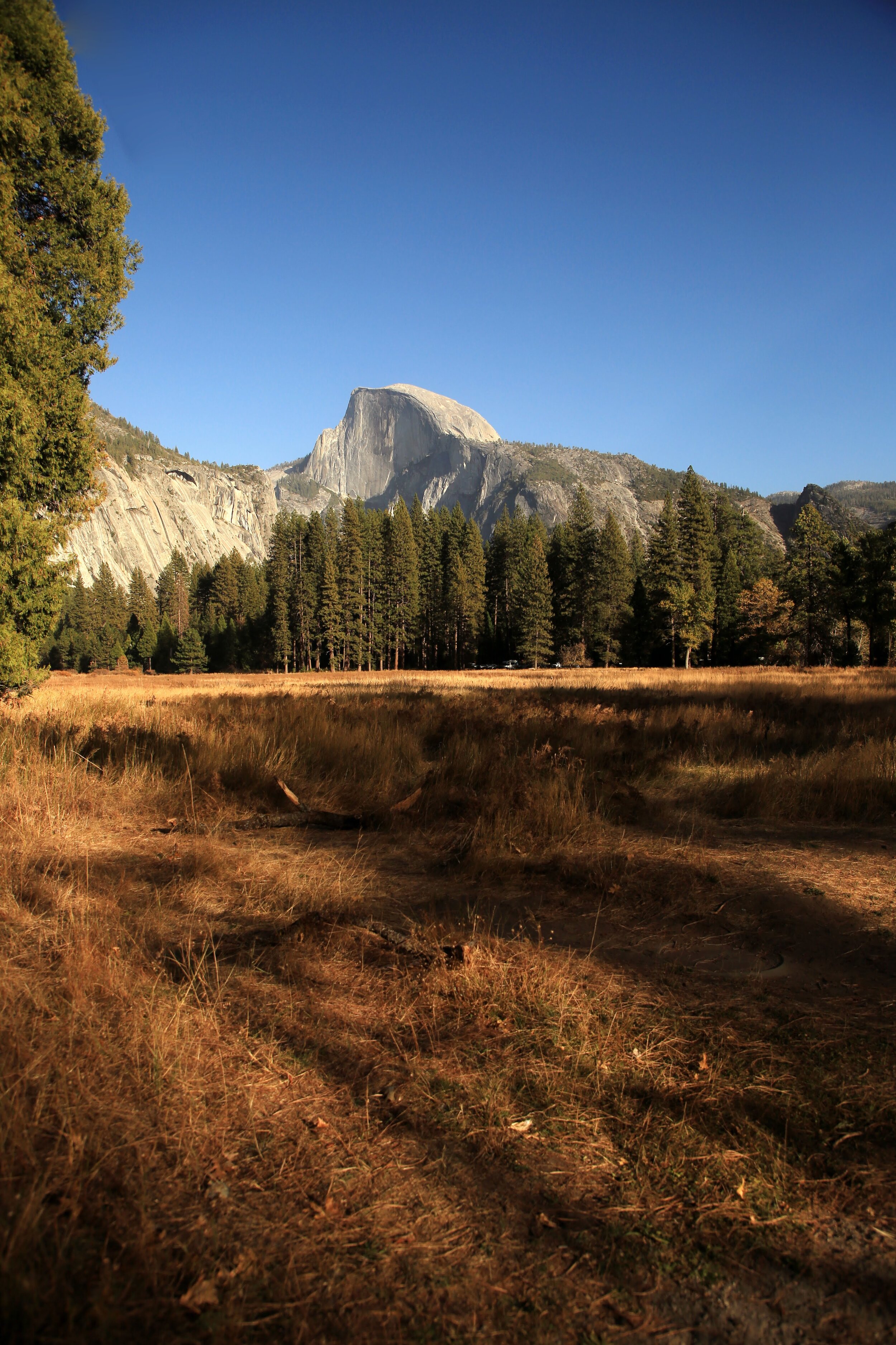 JA4A4741yosemite (97).JPG