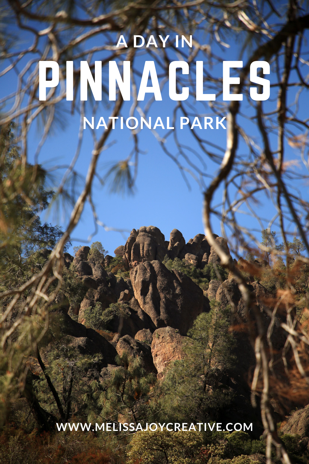 pinnacles national park.png