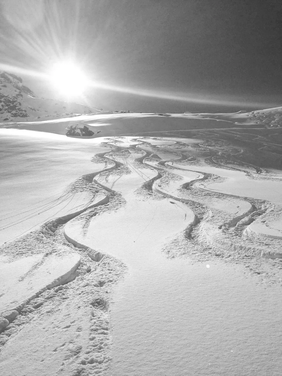 tracks on col(2).JPG