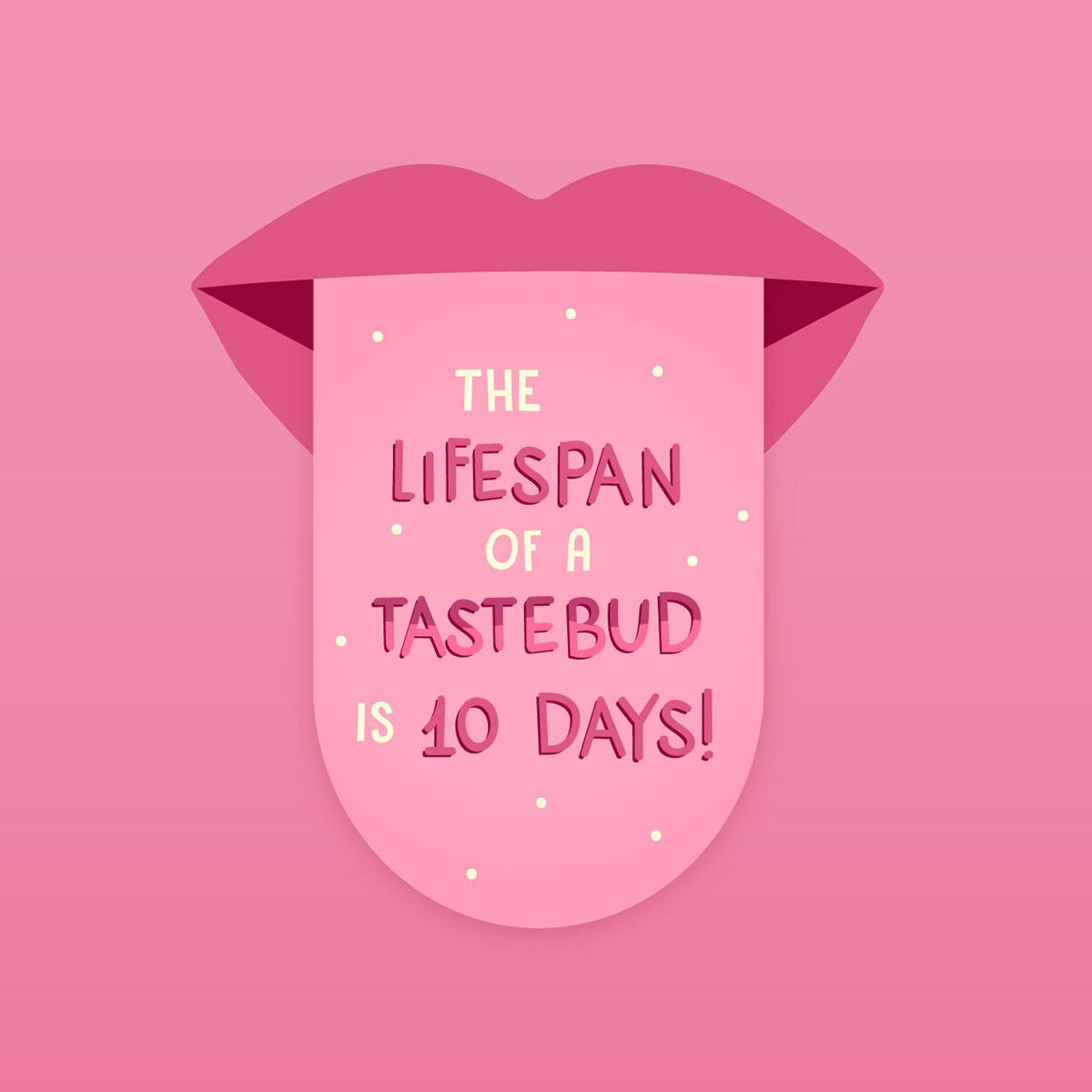 What are Taste Buds?