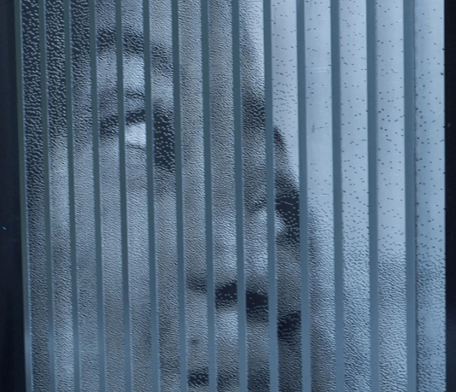  Photo: Robert Tinker 