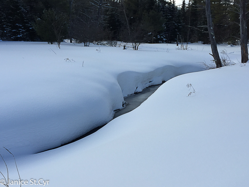 Snowy Brook 