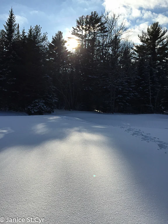 Late Afternoon Snowshoeing