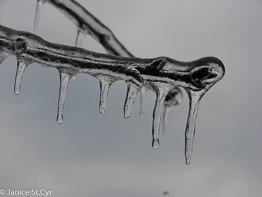 Frozen Drops