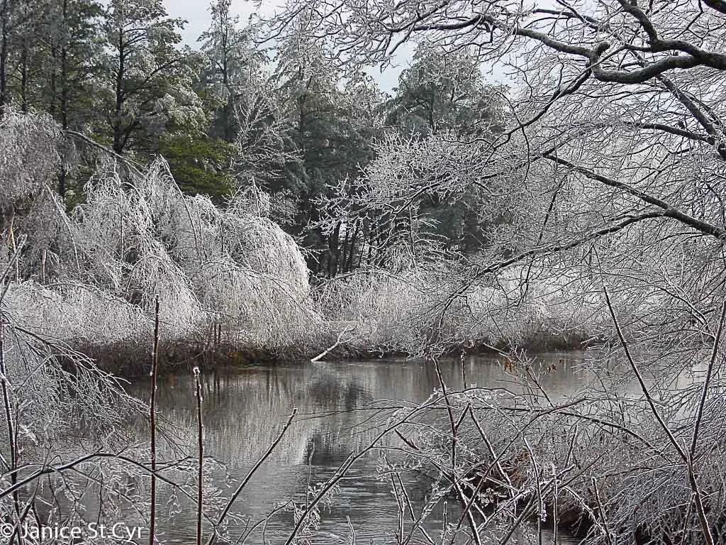 Ice Storm Pond