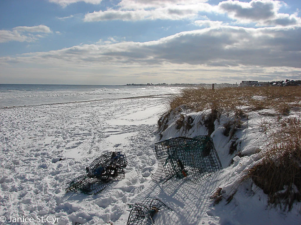 Wintry Lobster Traps