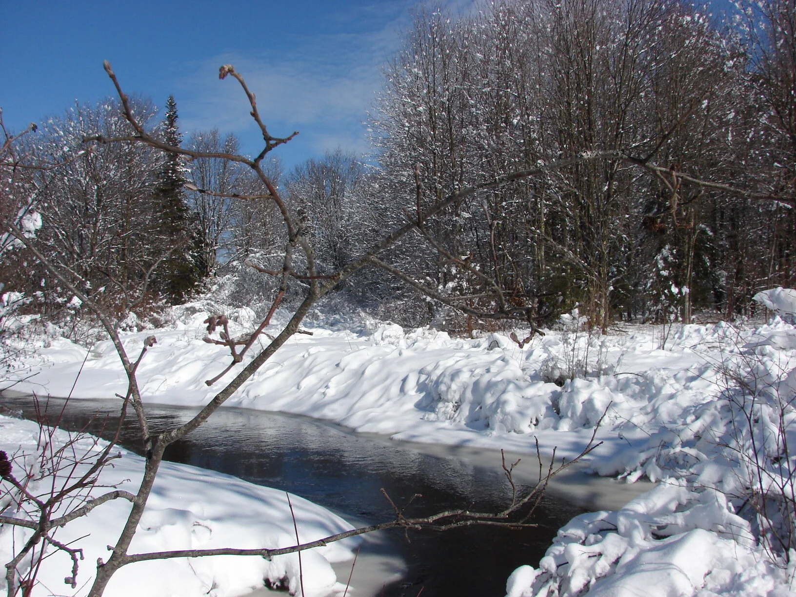 Winter Brook