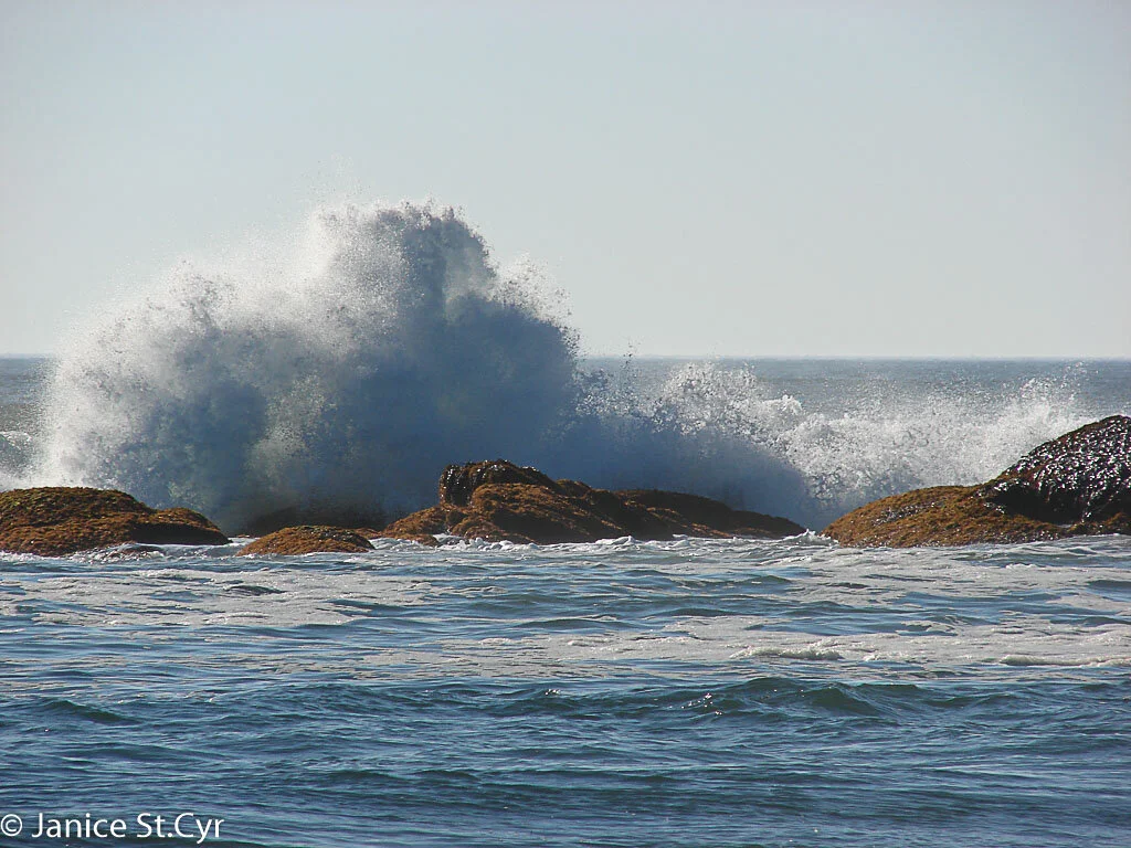 20100829-summer 2010 105.jpg