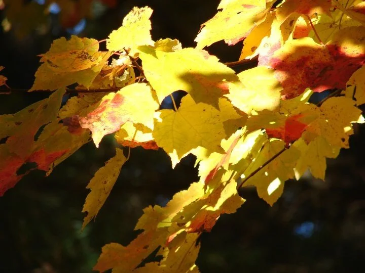 iphone, 2010-2013 253.JPG